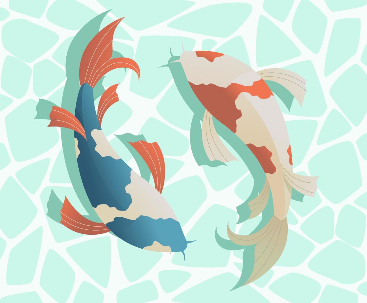 deux poissons koi japonais nagent vecteur