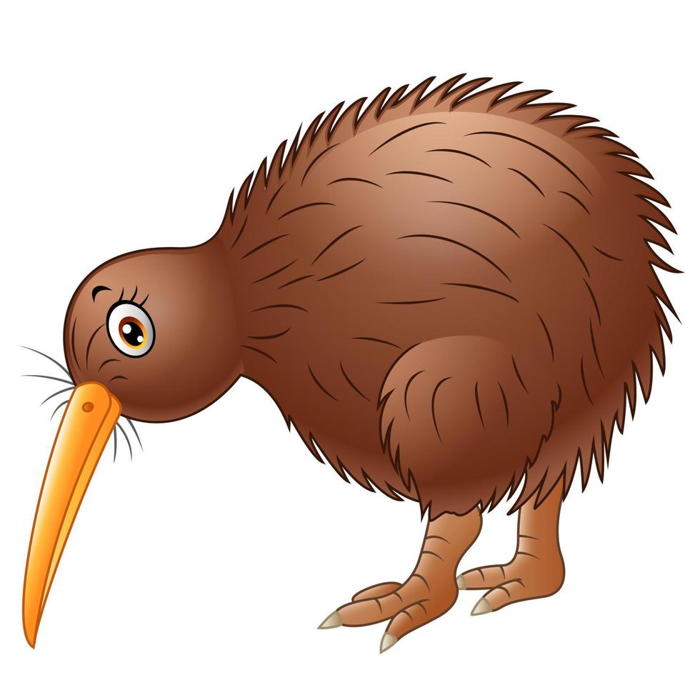 dessin animé mignon oiseau kiwi vecteur