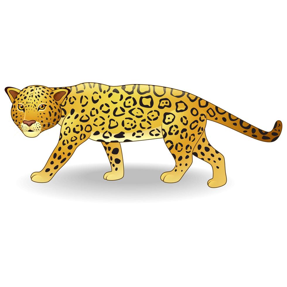 dessin animé mignon de guépard vecteur