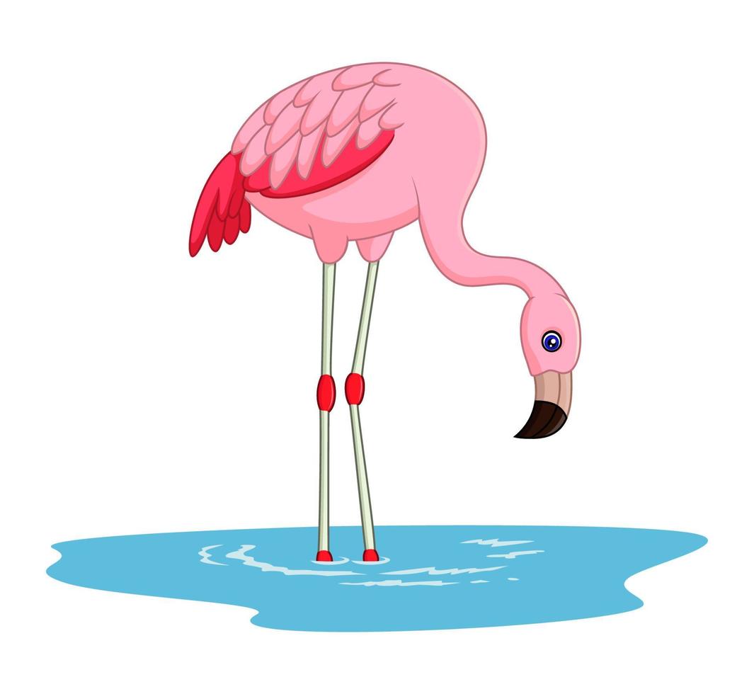 dessin animé flamant rose debout vecteur