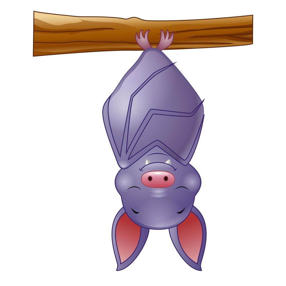 dessin animé mignon chauve-souris dormant suspendu à un arbre vecteur