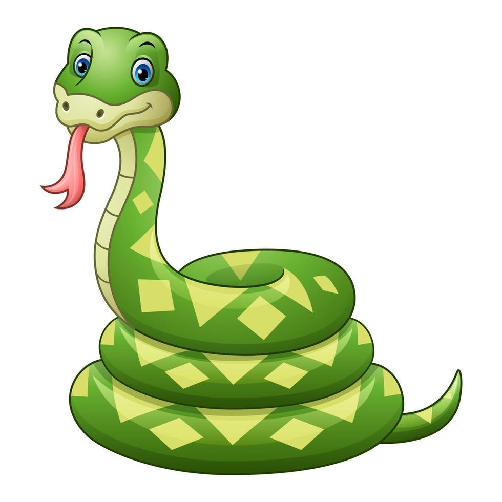 dessin animé mignon de serpent vert vecteur