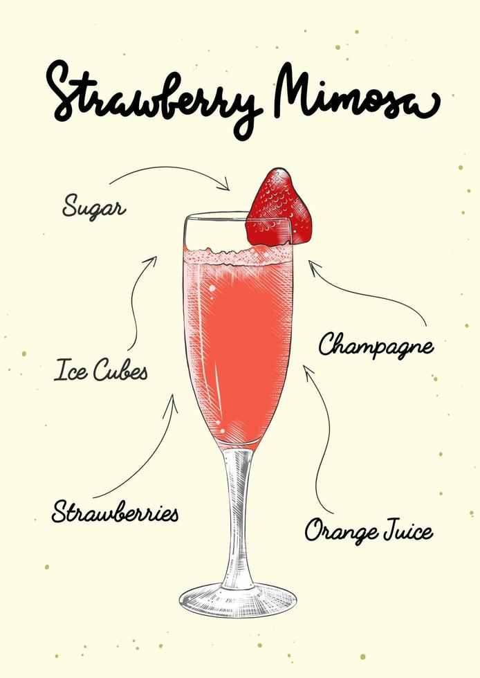 illustration de cocktail mimosa aux fraises de style gravé vectoriel pour affiches, décoration, logo et impression. croquis dessiné à la main avec lettrage et recette, ingrédients de la boisson. dessin coloré détaillé.