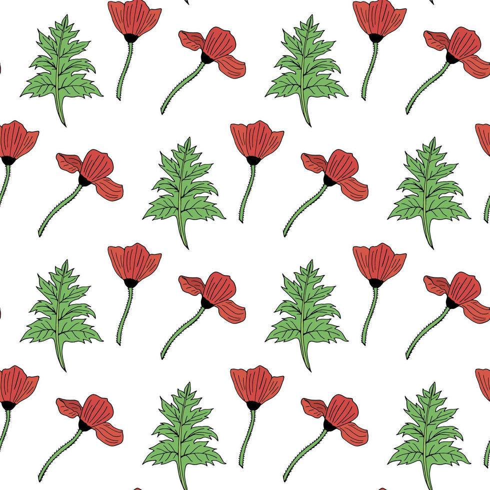 modèle sans couture avec coquelicots et feuilles sur fond blanc. image vectorielle. vecteur