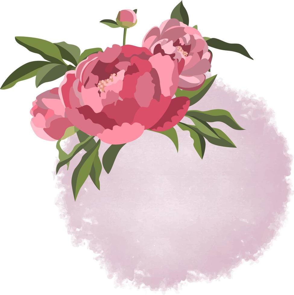 modèle floral carré avec des pivoines roses sur fond rose de style aquarelle vecteur