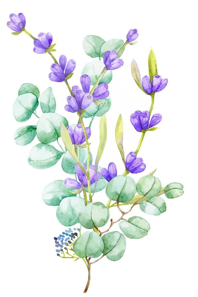 un bouquet de feuilles vertes d'eucalyptus et de lavande lilas. illustration aquarelle branche d'eucalyptus dessinée à la main avec des fleurs de lavande vecteur