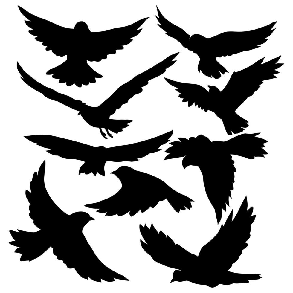 ensemble de silhouettes isolées noires d'oiseau. collection de différentes positions d'oiseaux. vecteur