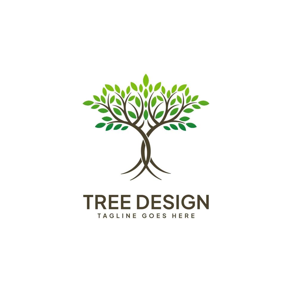 modèle arbre de vie logo inspiration vecteur