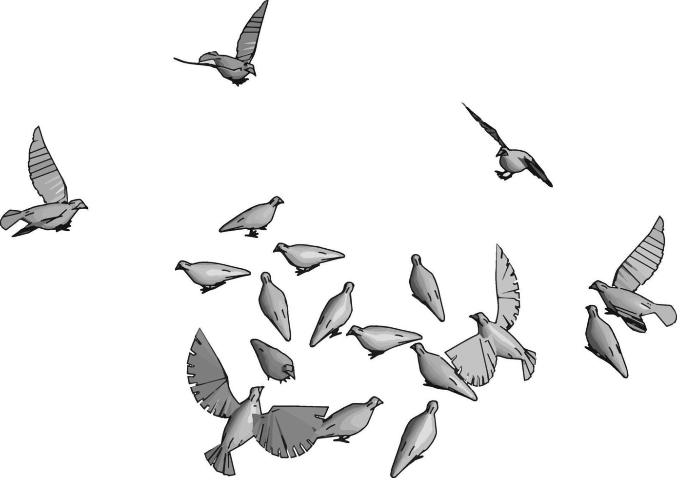 oiseaux dans le ciel, illustration, vecteur sur fond blanc.