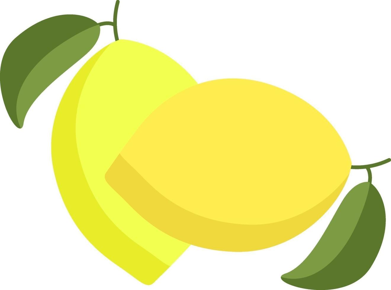 citrons frais, illustration, vecteur sur fond blanc