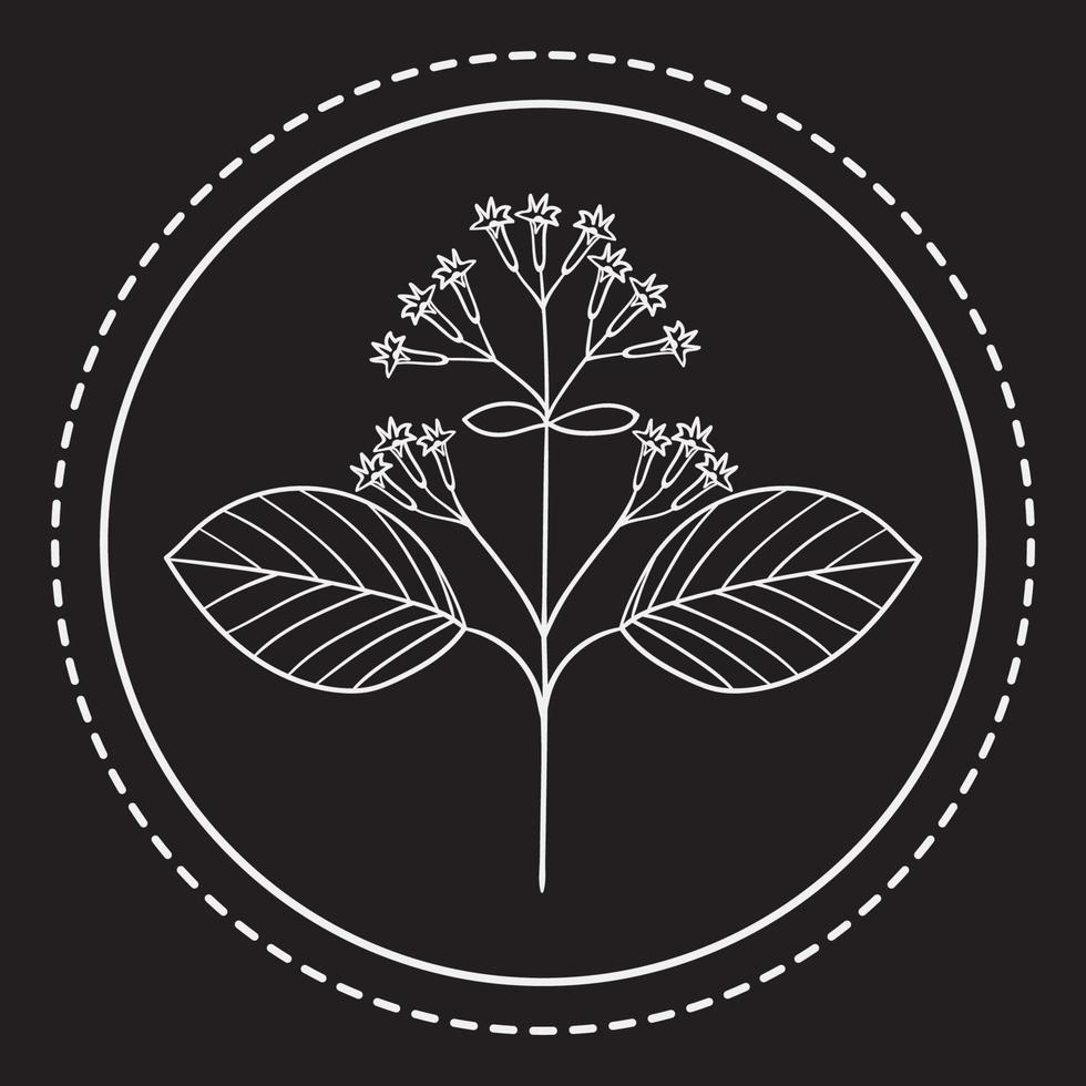 herbes amères p 1 logo 1 vecteur