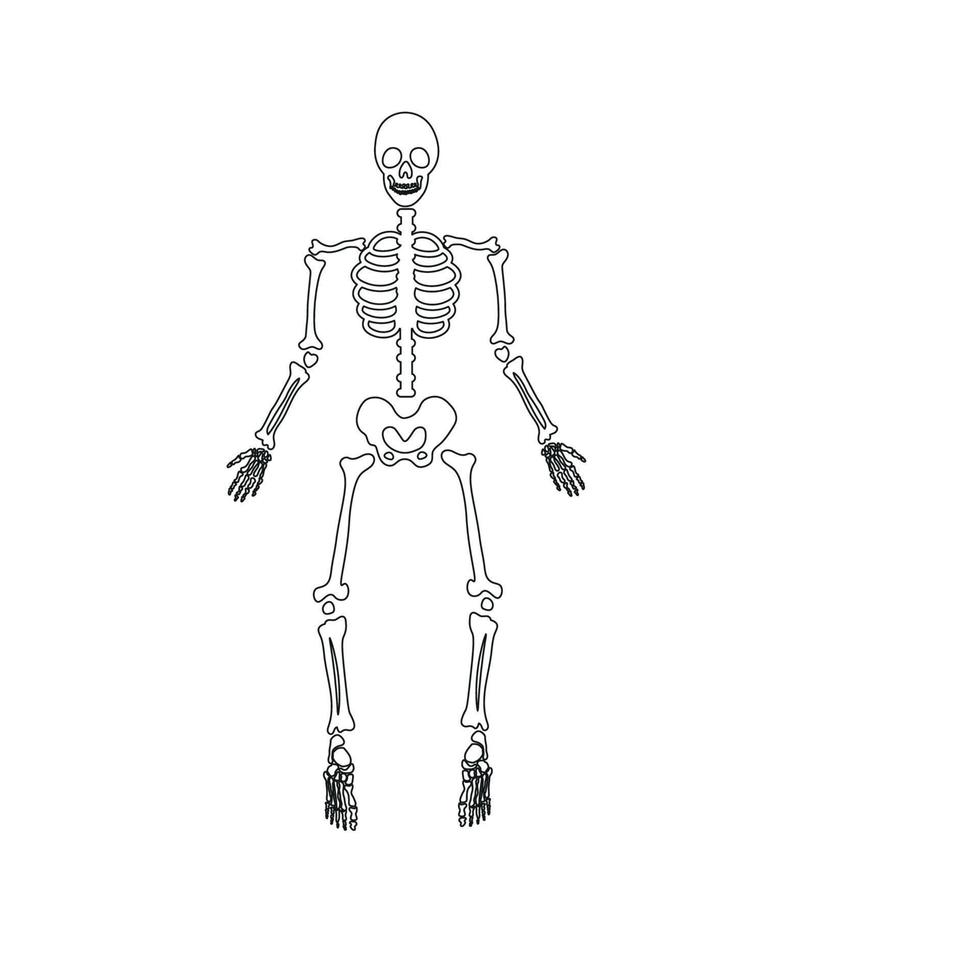 squelette d'os effrayant d'halloween vecteur