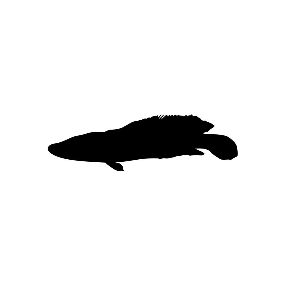 poisson à tête de serpent, channidés de la famille des poissons perciformes d'eau douce, silhouette de poisson pour logo, pictogramme ou élément de conception graphique. illustration vectorielle vecteur