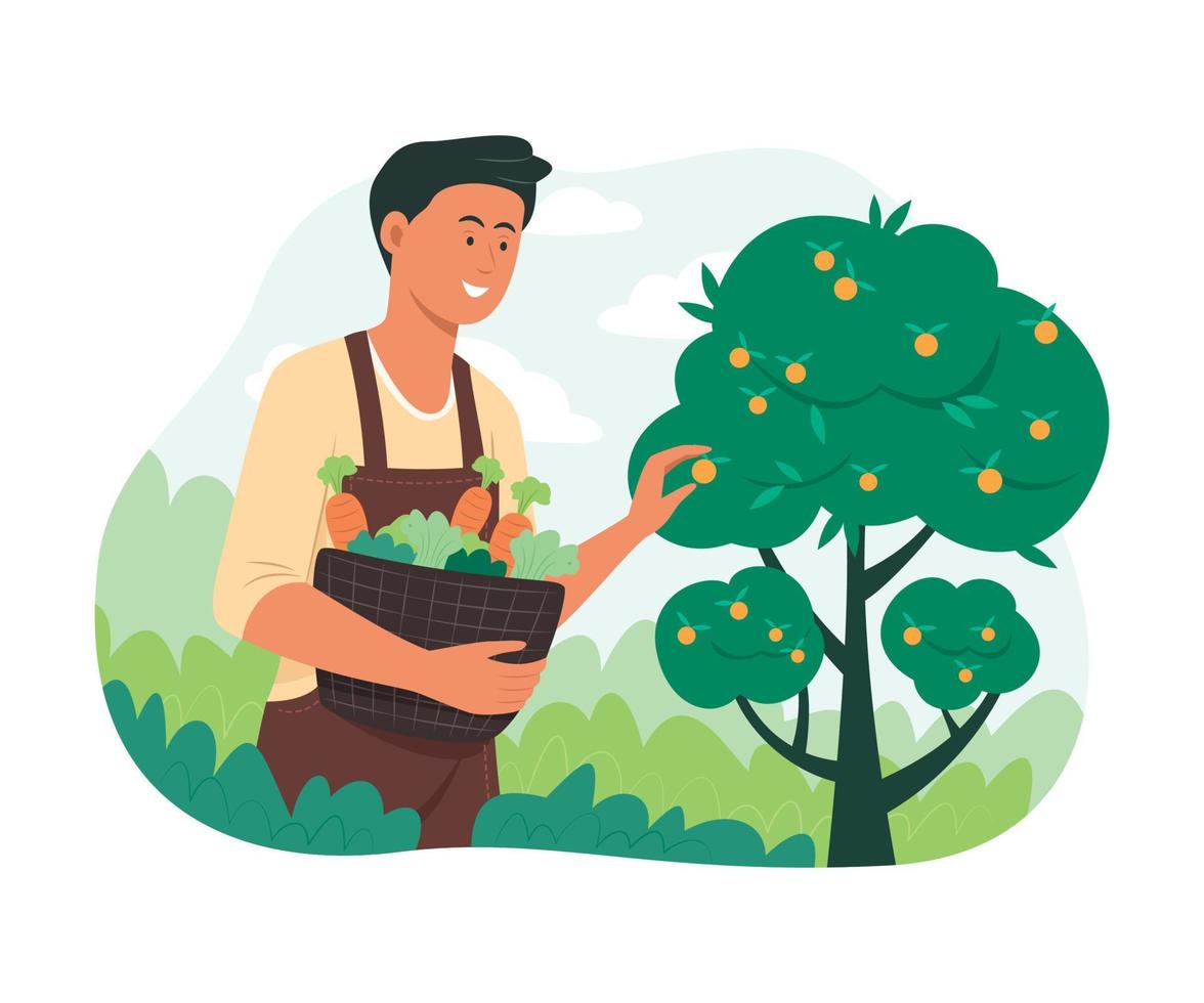 homme cueillant des fruits et légumes frais dans le jardin vecteur
