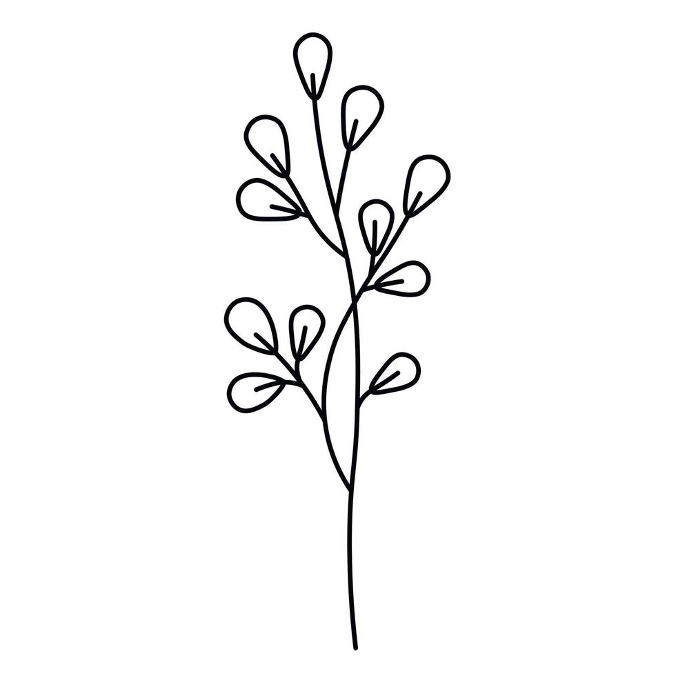 une brindille, un brin d'herbe. fleur. silhouette d'encre noire isolée sur fond blanc. éléments décoratifs vectoriels dessinés à la main pour votre conception. vecteur