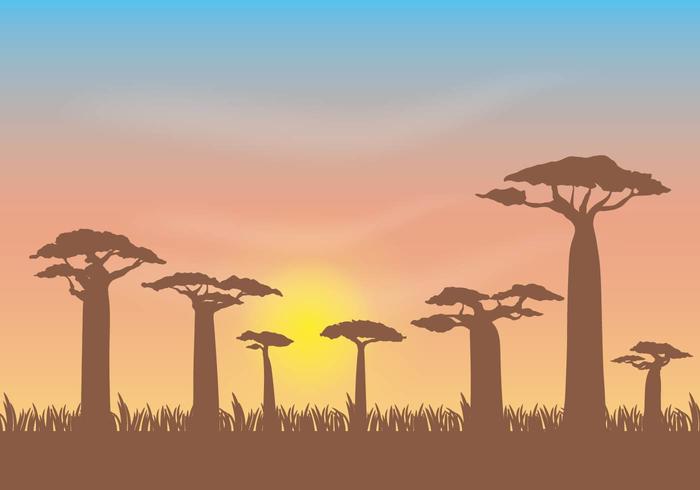 Illustration vectorielle gratuite Baobab vecteur