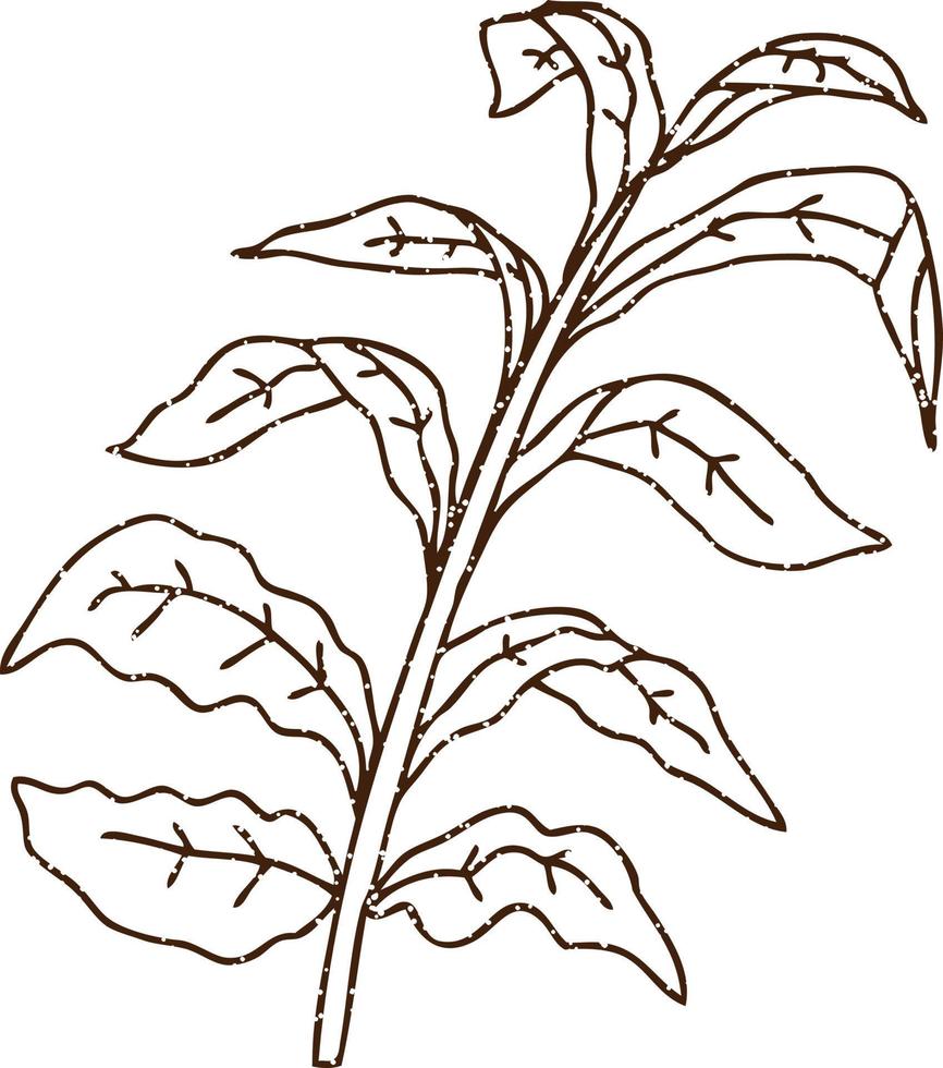 dessin au fusain de plantes sauvages vecteur