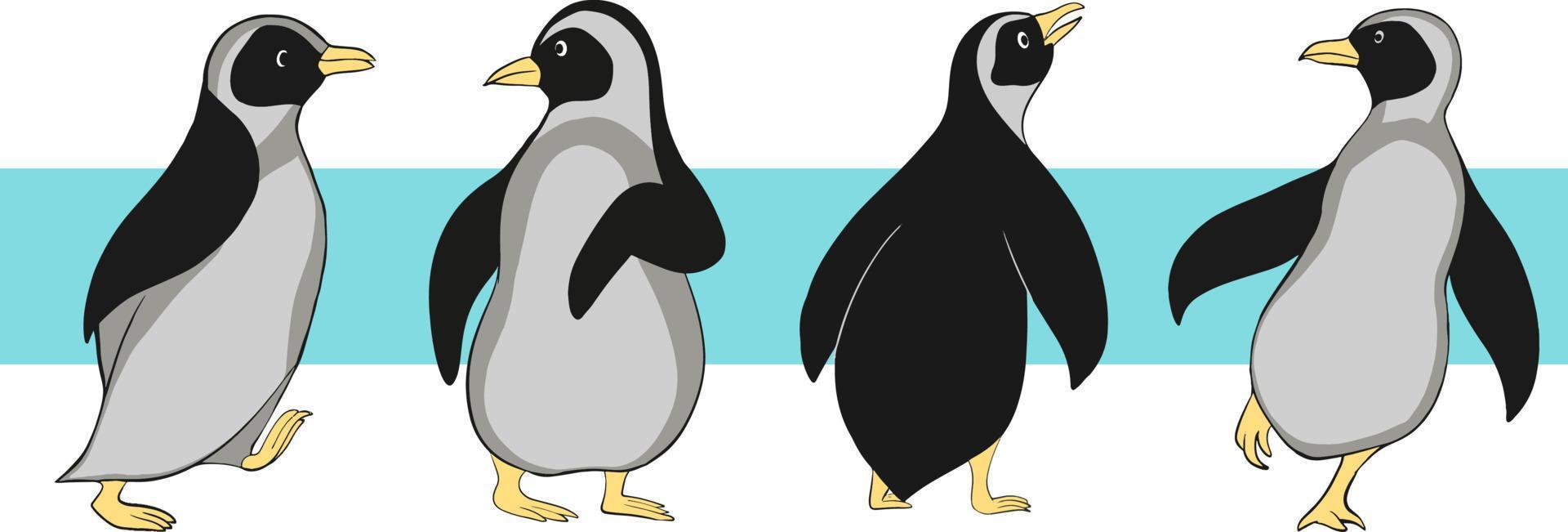personnages de pingouins dans différentes poses. manchots empereurs sur fond blanc. nature antarctique. illustration vectorielle. vecteur