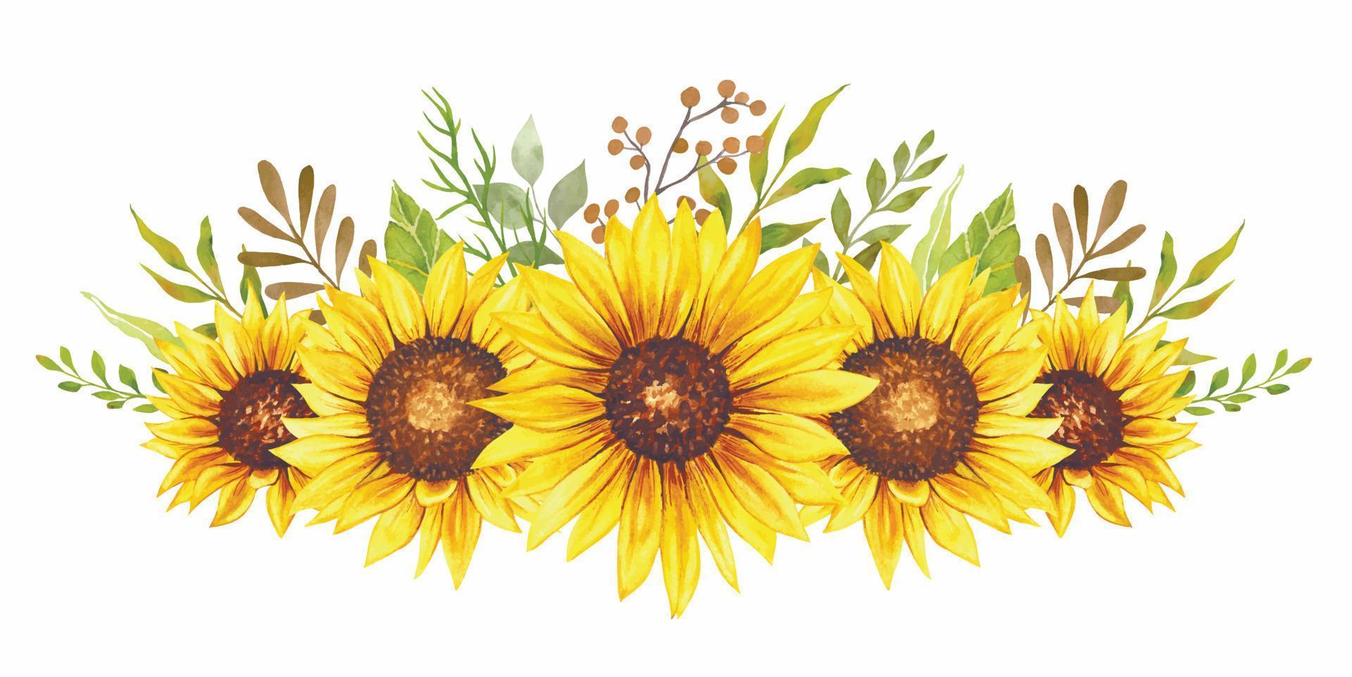 cadre de tournesol aquarelle, arrangement de tournesol, composition de suflower vecteur