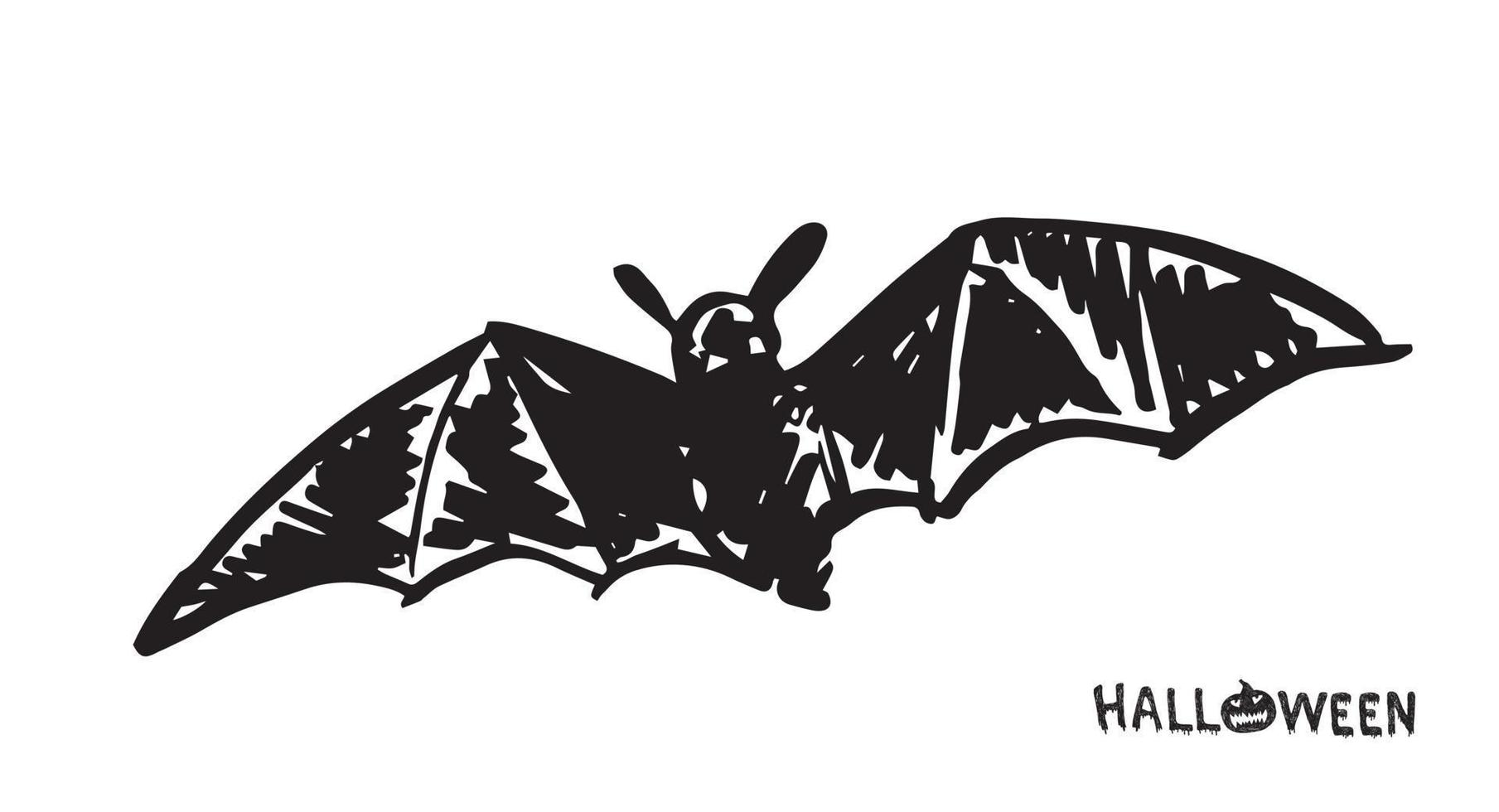 croquis de chauve-souris. illustration dessinée à la main. vecteur