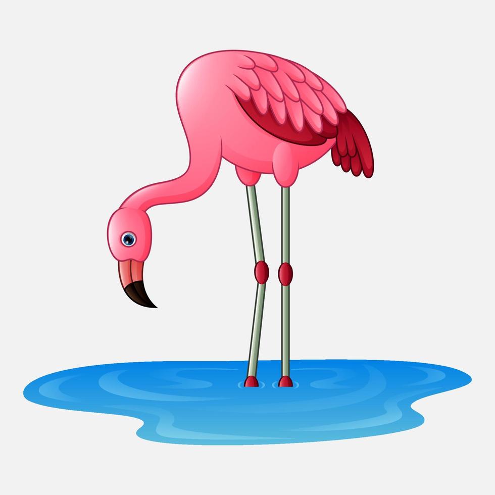 dessin animé flamant rose mignon vecteur