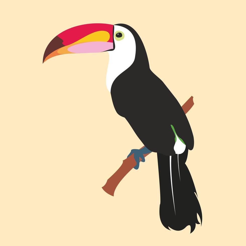 image vectorielle d'un oiseau toucan tropical lumineux sur fond floral. icône colorée de la nature tropicale. vecteur