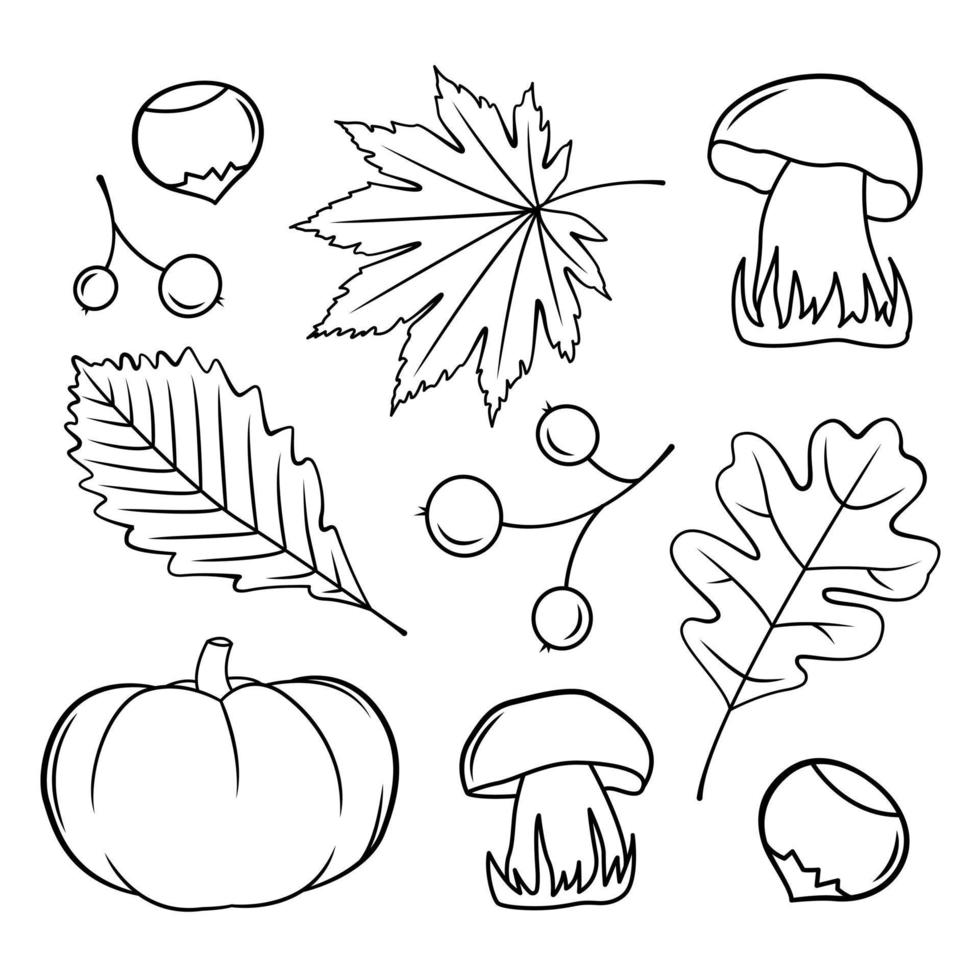 composition végétale d'automne avec citrouille, champignons, feuilles, baies, châtaignes. nature morte d'automne avec la saison des récoltes d'automne. illustration de vecteur de contour noir et blanc isolé