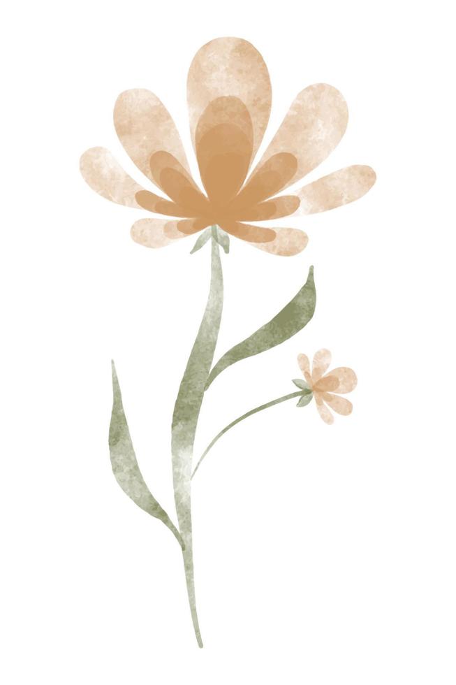 fleur tendance aquarelle. illustration vectorielle pour le web, l'application et l'impression. fleur de chrysanthème isolée floristique de forme féminine élégante. jardin, élément floral botanique et minimaliste. vecteur