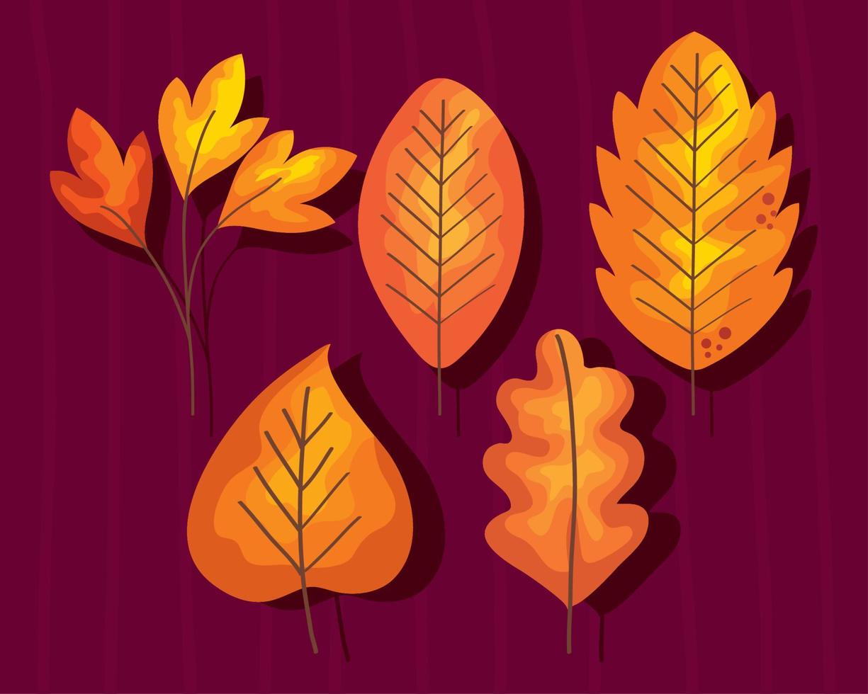 cinq feuilles d'automne vecteur