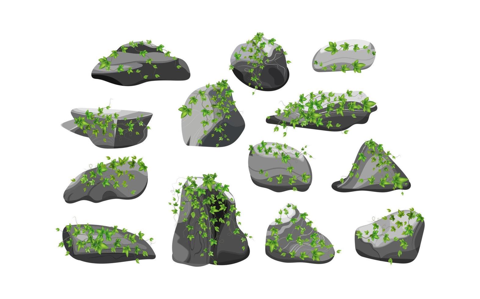 collection de pierres et de plantes de formes diverses. galets côtiers, pavés, gravier, minéraux et formations géologiques. fragments de roche, rochers et matériaux de construction. vecteur