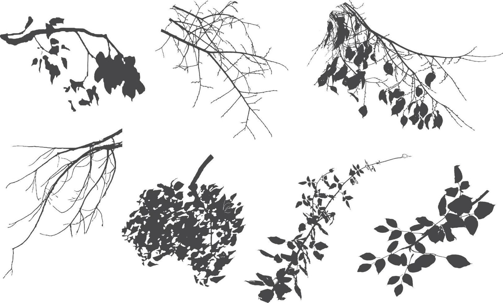 ensemble de plantes noires ornementales sous la forme d'une haie. arbuste de jardin réaliste, buisson saisonnier, buis, feuillage de brousse de couronne d'arbre. vecteur
