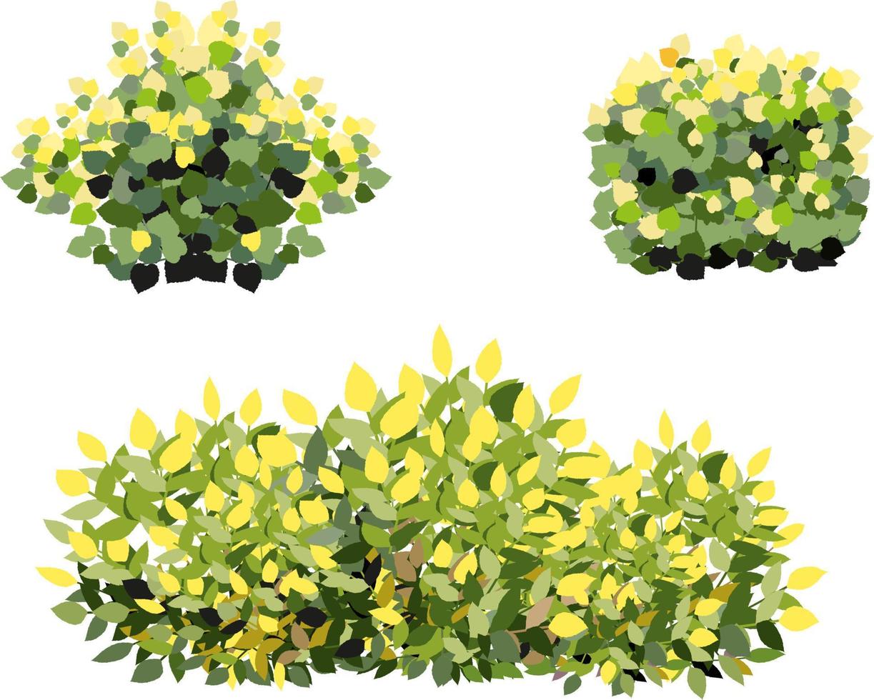 ensemble de plantes vertes ornementales sous la forme d'une haie. arbuste de jardin réaliste, buisson saisonnier, buis, feuillage de brousse de couronne d'arbre. vecteur