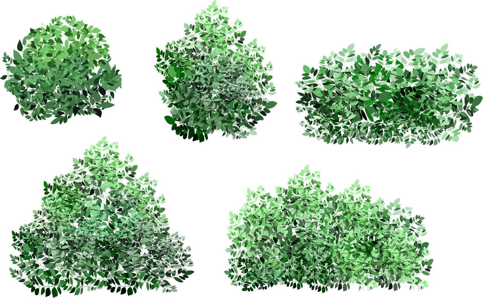 ensemble de plantes vertes ornementales sous la forme d'une haie. arbuste de jardin réaliste, buisson saisonnier, buis, feuillage de brousse de couronne d'arbre. pour décorer d'un parc, d'un jardin ou d'une clôture verte. vecteur