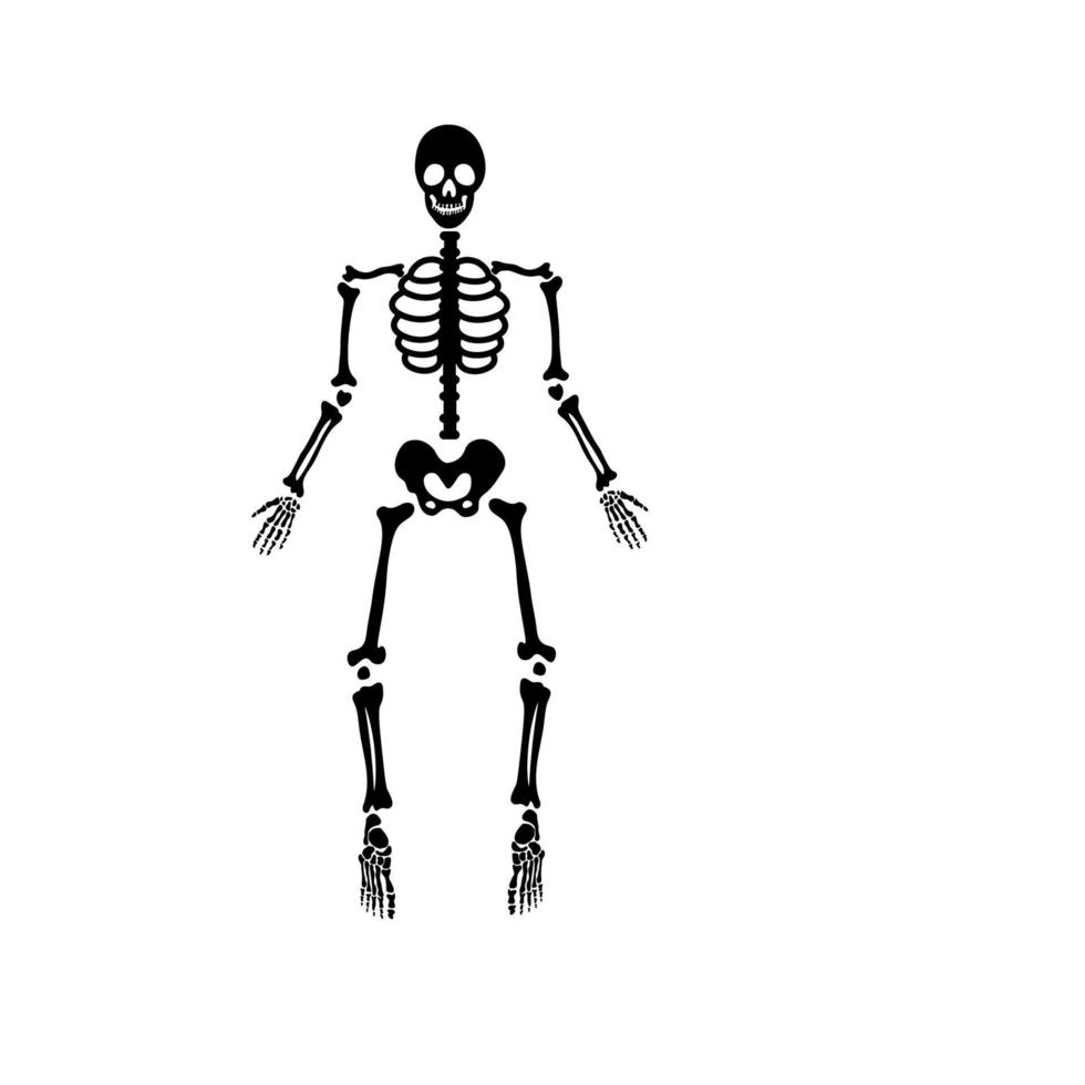 squelette d'os effrayant d'halloween vecteur