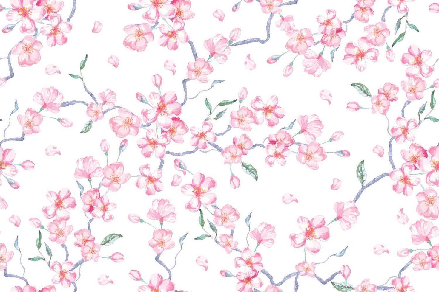 modèle sans couture aquarelle fleur de cerisier sakura vecteur