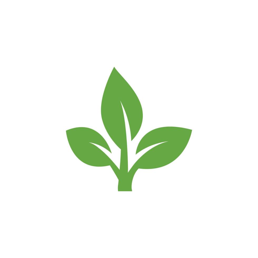 icônes de feuilles plates. illustration vectorielle de feuille. icône de vecteur d'élément nature écologie feuille verte, icône de feuille, vecteur d'élément nature écologie feuille verte