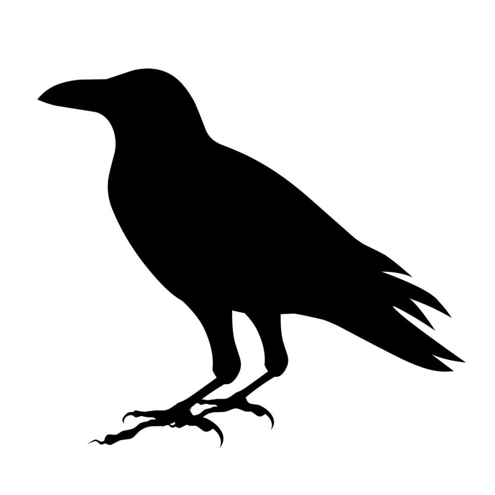 vecteur de silhouette de corbeau. dans le thème d'halloween. idéal à des fins de conception d'halloween. isolé sur fond blanc