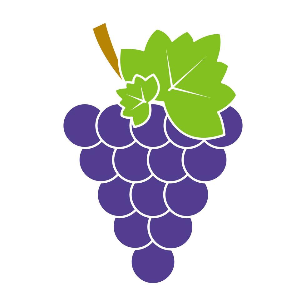 silhouette d'un raisin avec une feuille. un sarment de vigne. silhouette de couleur. vecteur