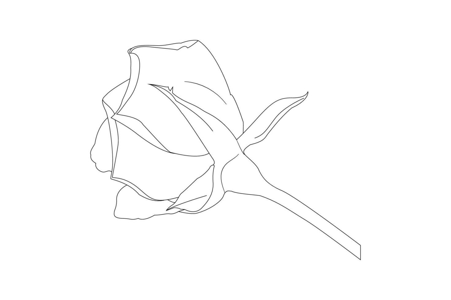 dessin de fleurs roses avec dessin au trait sur fond blanc. fleurs de contour de vecteur. page de coloriage d'art en ligne avec des roses et des feuilles vecteur