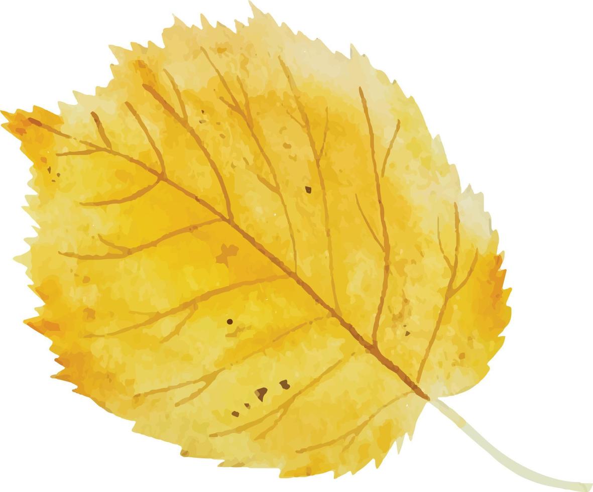 feuille d'automne aquarelle vecteur