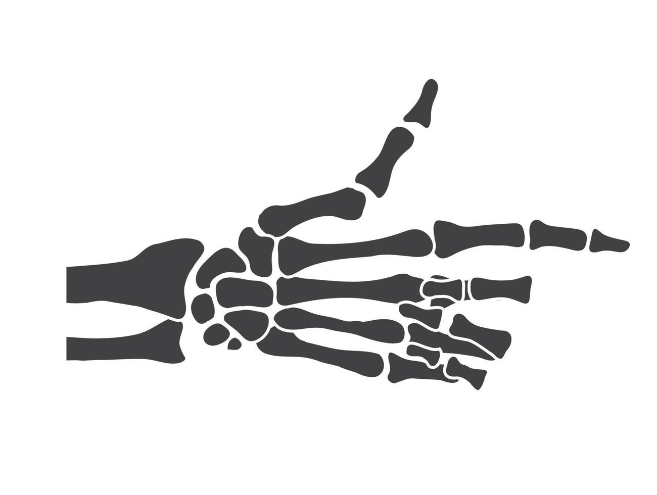os de la main noir et blanc squelette humain os mains vecteur