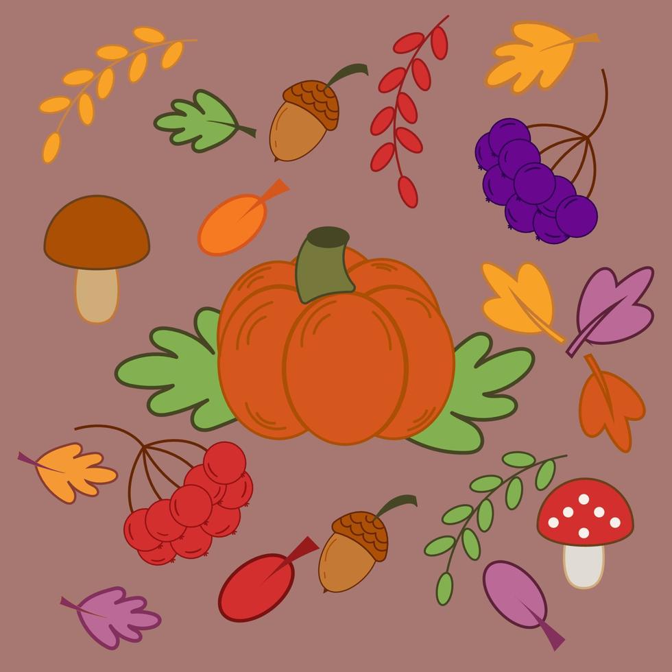 ensemble d'automne. feuilles, branches d'arbres d'automne, sorbier, aronia, citrouille, champignons, chêne, glands. illustration plate de vecteur. vecteur