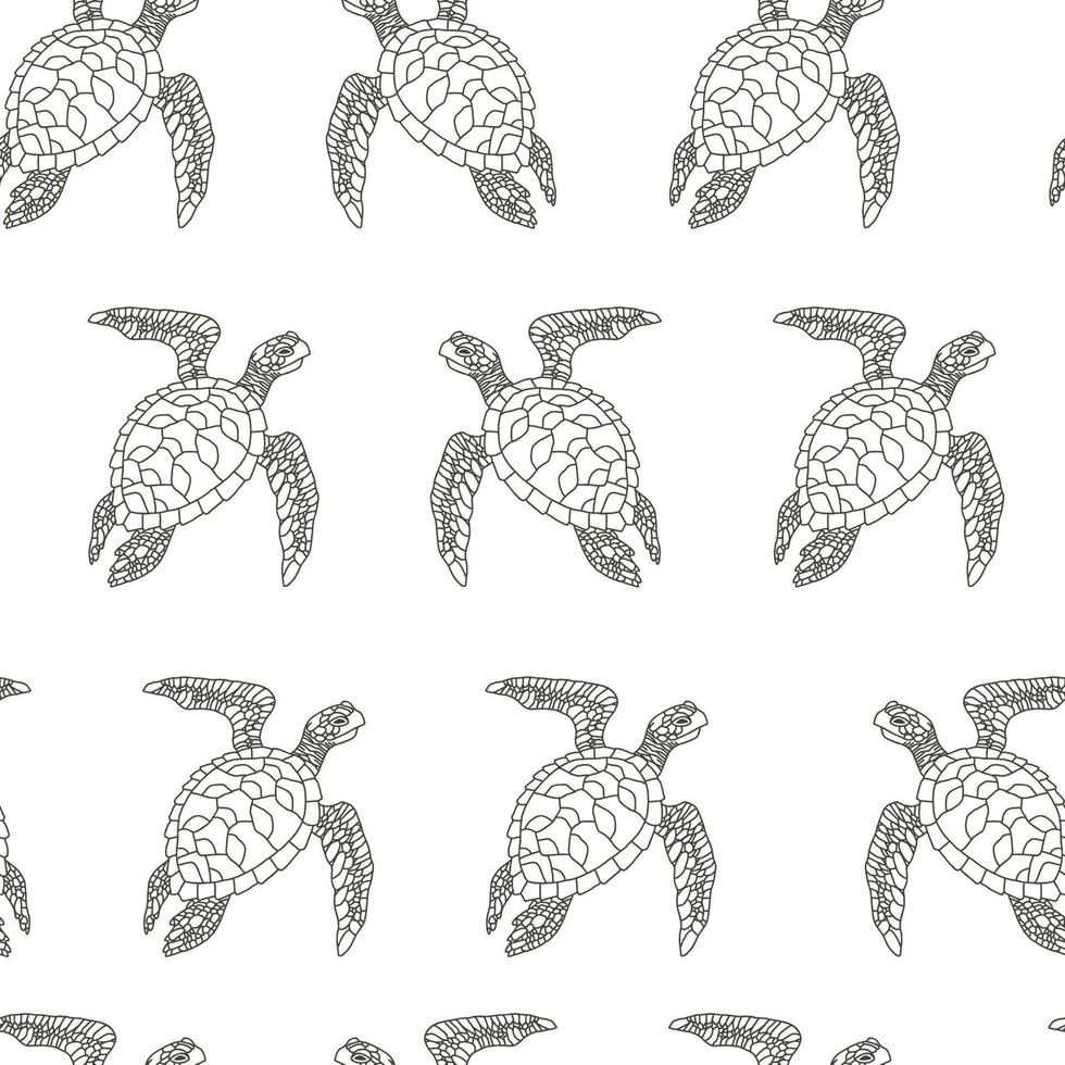 motif tortue noir et blanc vecteur