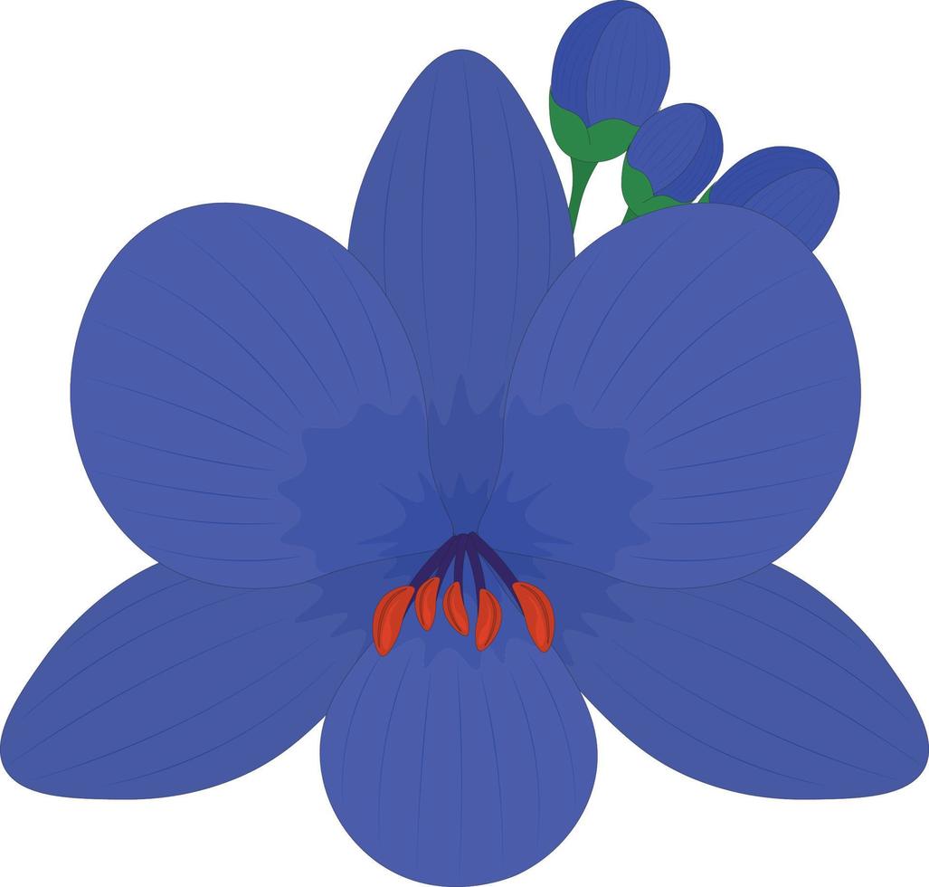 fleur bleue isolée avec illustration vectorielle de bourgeons vecteur