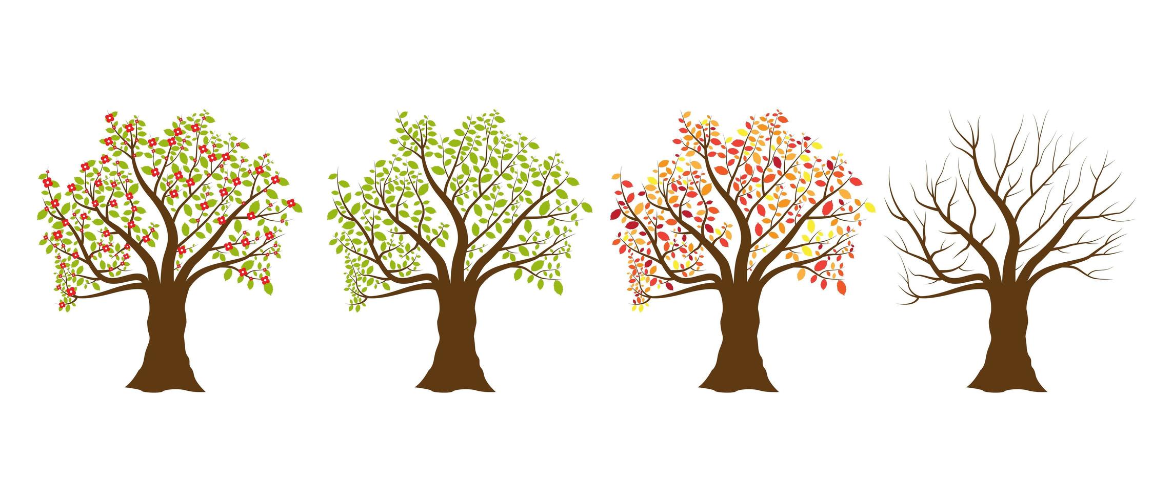 arbres quatre saisons vecteur
