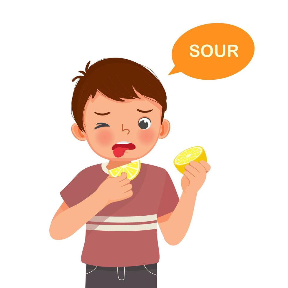 mignon petit garçon tenant du citron montrant le goût amer de la langue cinq sens vecteur