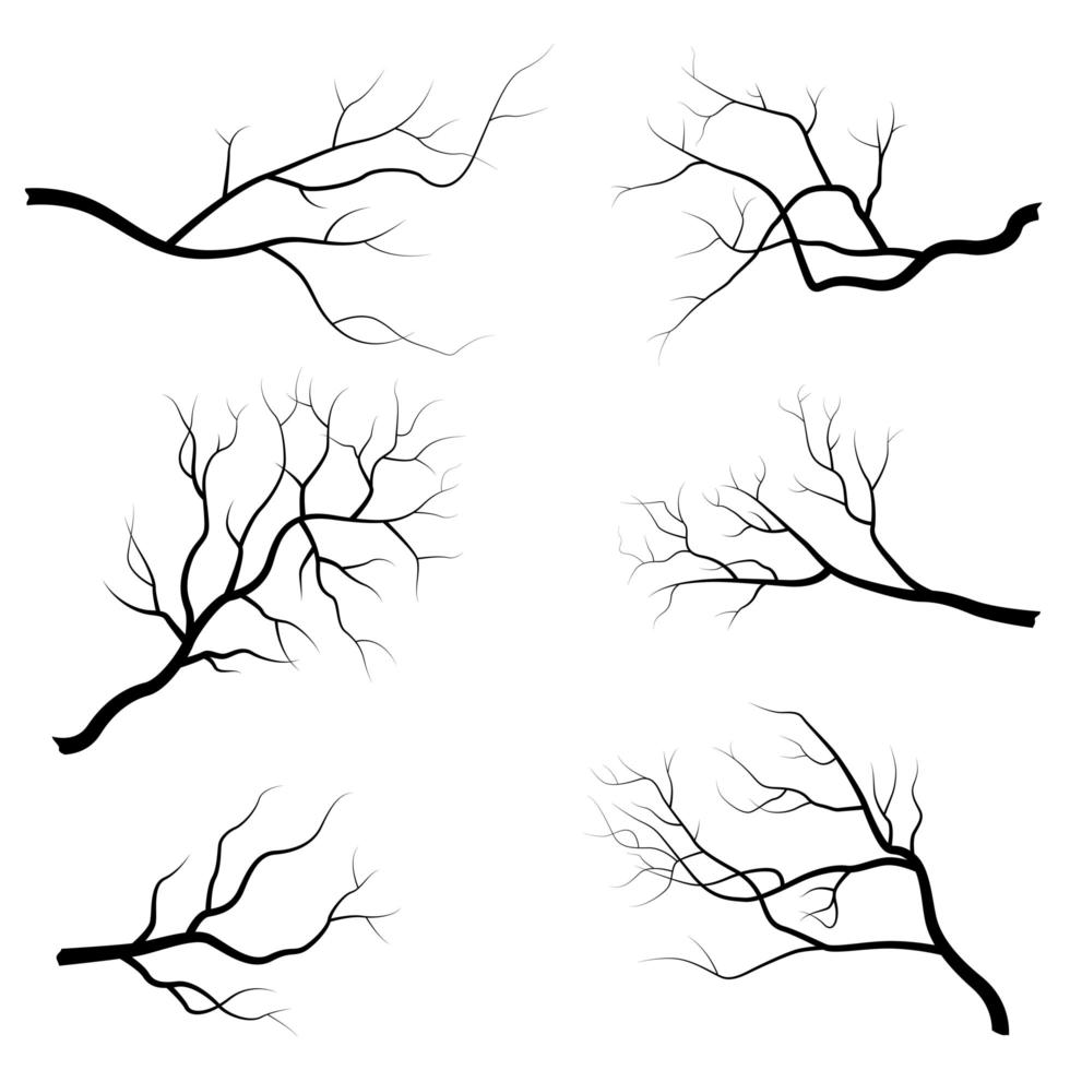 ensemble de branche d'arbre vecteur