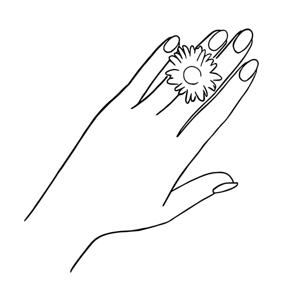 dessin au trait minimal de main tenant une fleur dans un concept dessiné à la main pour la décoration, style contemporain doodle vecteur