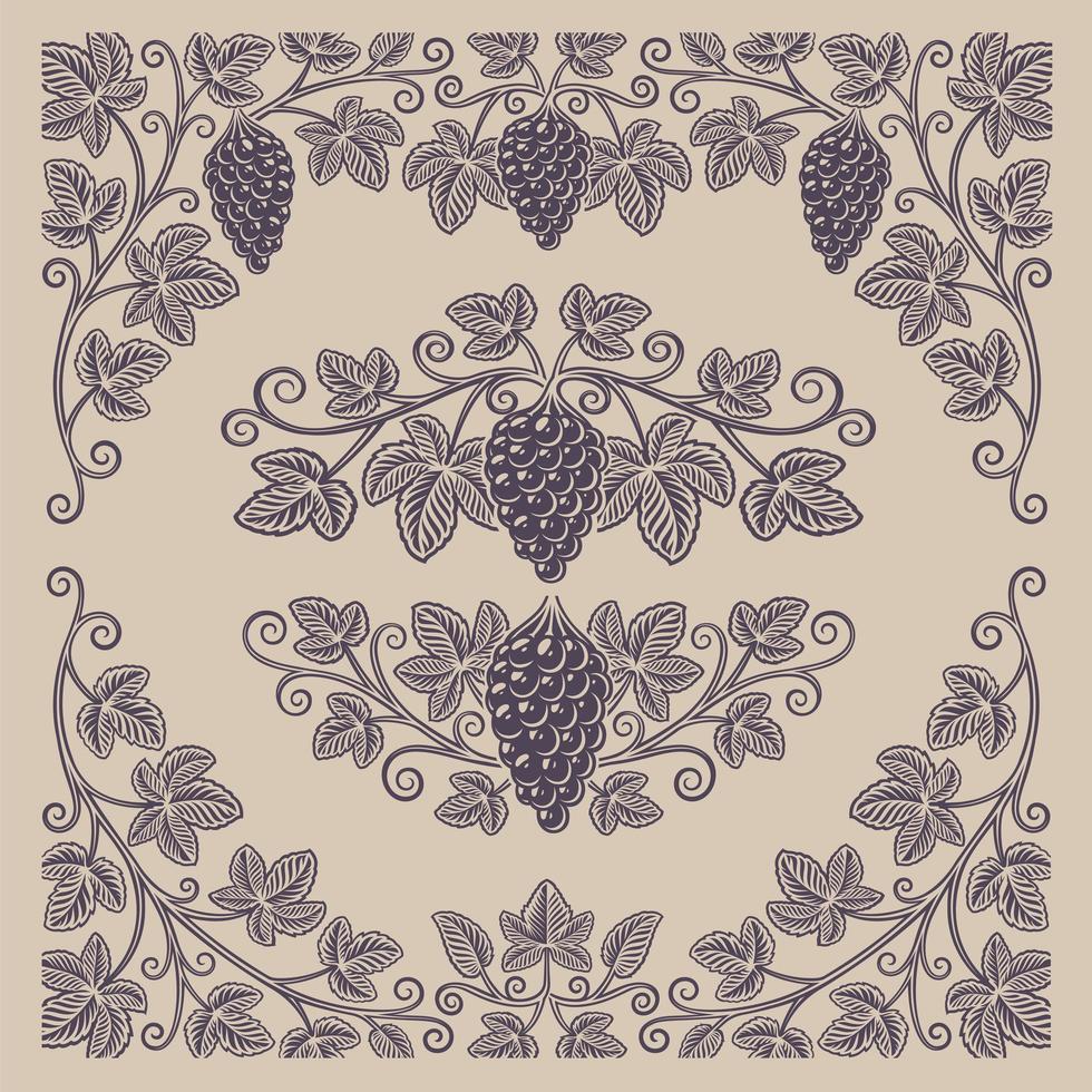 ensemble d'éléments de design vintage de branches et de bordures de raisin vecteur