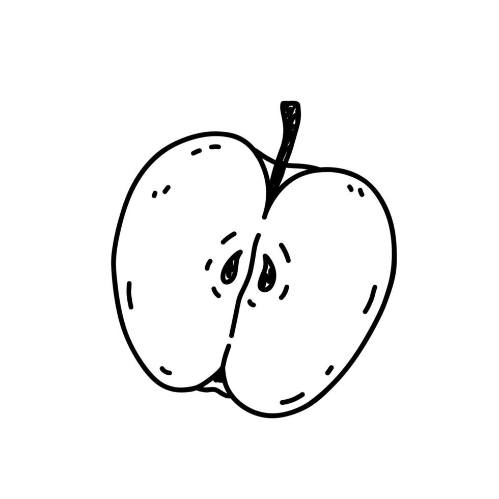 une demi-pomme isolée sur fond blanc. aliments sains biologiques. illustration vectorielle dessinée à la main dans un style doodle. parfait pour les cartes, les décorations, le logo, le menu, les recettes. vecteur